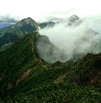 (クリックで拡大。矢印キーで次の写真を表示できます。)