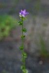 (クリックで拡大。矢印キーで移動できます。)